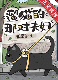 遛貓的那對夫婦